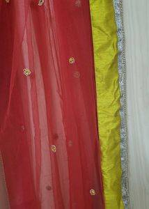 Net Duppata With Silk Border