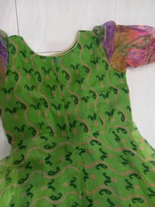 Beautiful Green Printed Ethnic Gown