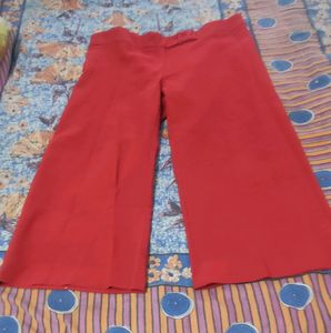 Short pant for women
