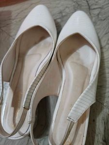 White Bellies (Used Once)