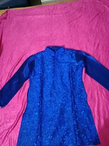 Elegant Blue Embroidered Kurta