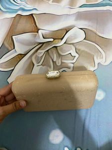 Elegant Beige Clutch Bag