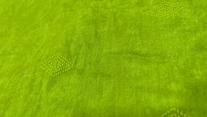 Vibrant Green Kurta ( margin available)