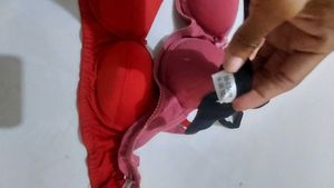 3 Pack Padded Bras - Black, Pink &amp; Red