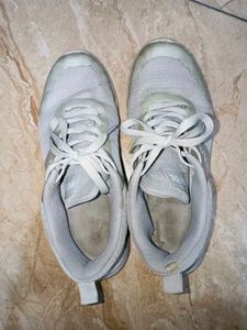 Mode By Red Tape Sport Shoes