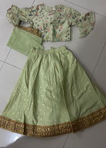 Embroidered Parrot lehenga chili for Girls