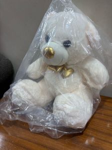 Cute Cream Teddy Bear