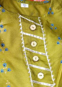 Women Olive Green Ethnic Gowns