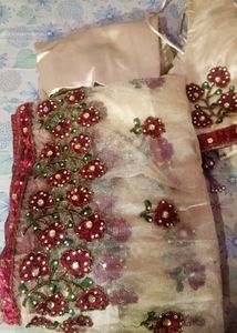 Embroidered Net Saree (ready to wear)