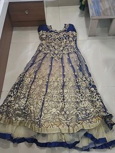 Blue Embroidered Ethnic Gown