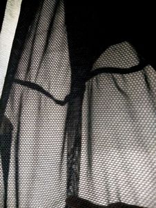 Boohoo Sheer  Mesh Crop Top