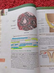 Karnataka Biology II PUC Textbook