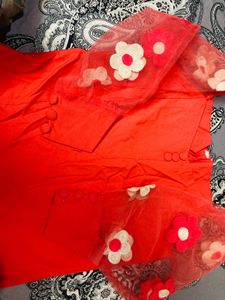 It's A Bardot  Stretchable Top