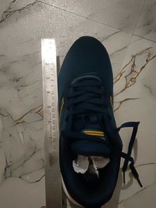 Campus Hurricane Shoes