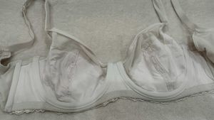 Elegant Lace Trimmed Bra 36DD