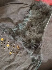 Stylish Brown Zipper Sweater with Fur