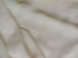 Plan Cream Beautiful Saree