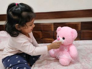 Cute Pink Teddy Bear Toy wearing skirt