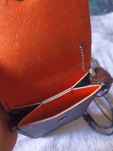 Coach Crossbody Pouch