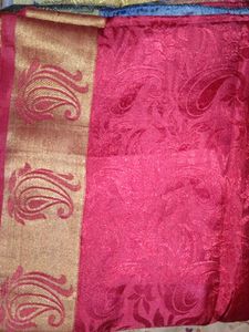 Gorgeous Paisley Print Saree