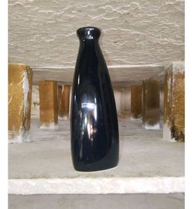 Elegant Black Ceramic Vase