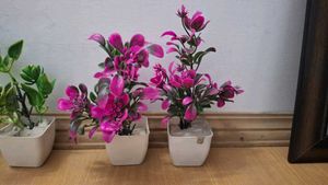 Artificial Plants Decor