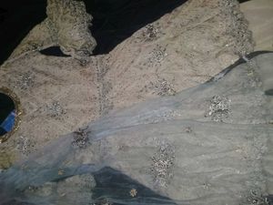 Sharara/gharara Set