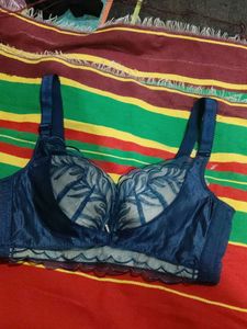 beautiful bra