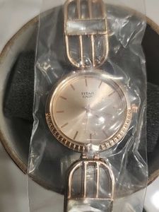 Titan Watch