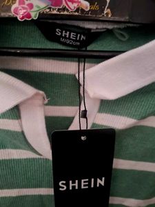 Green Striped Cropped Polo Shirt
