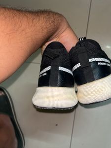 North Star Casual Sneaker For Men On Sale👟👟