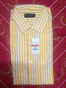 Diverse Slim Fit Striped Shirt