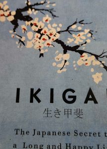 ikigai book for sale