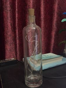 Wine Bottle Fairy Lights Decor