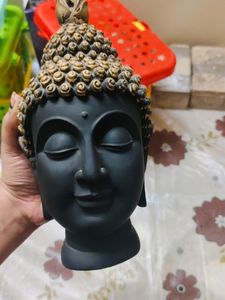 Budhha Idol New