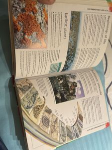 6000 Awesome Facts Book
