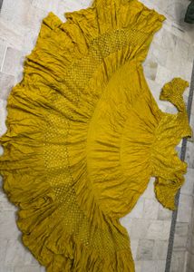 Stunning Mustard Yellow grown