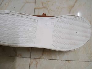 Brand New Brown Sneakers