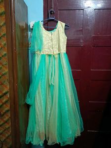 Beautiful Ethnic Gown