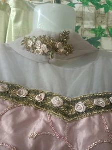 Fishcut  Lehenga Choli
