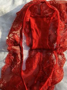 Sheer Lace Red Briefs