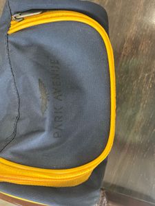 Park Avenue Blue Travel Pouch