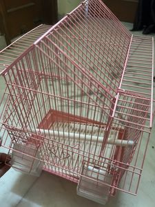 Bird Cage
