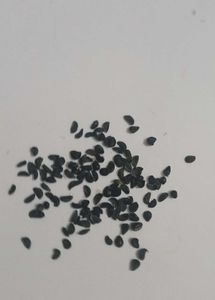 Yellow rain Lily Flowers seeds
