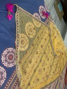 Partywear Dupatta with Tassels