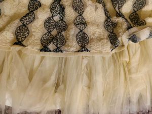 Elegant indo wastern cindrella skirt