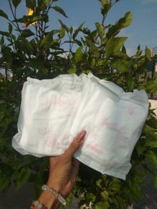Evereve Overnight Period Panties