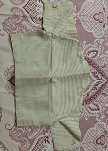 Elegant Pastel Green Saree with matching blouse