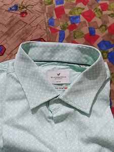 Blackeberrys Light Green Patterned Shirt