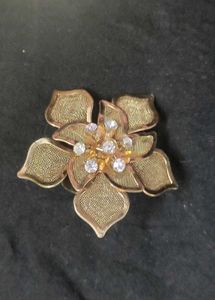 Hair Clips And Saree Brouch